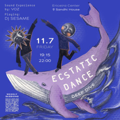 A Quantum of Joy - Ecstatic Dance Deep Dive - Ericeira - 11.07.25