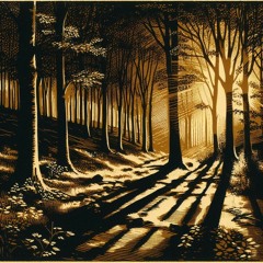 Shadows And Sunlight