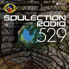 Soulection Radio Show #529