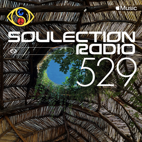 Soulection Radio #529