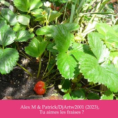 Tu aimes les fraises ? - Alex M & Patrick/DjArtw2001