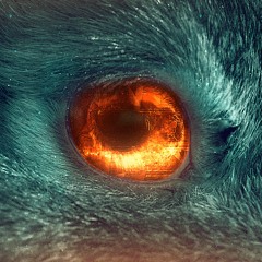 SE VOCÊ NÃO VAI QUERER, ME DEIXA IR