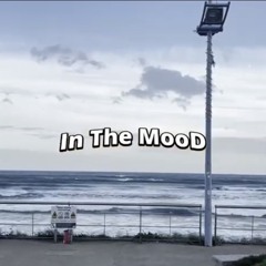 wee Polo-  in the mood