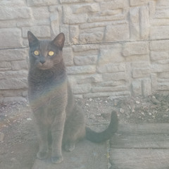 anxiety problems (sc exkluxiv)