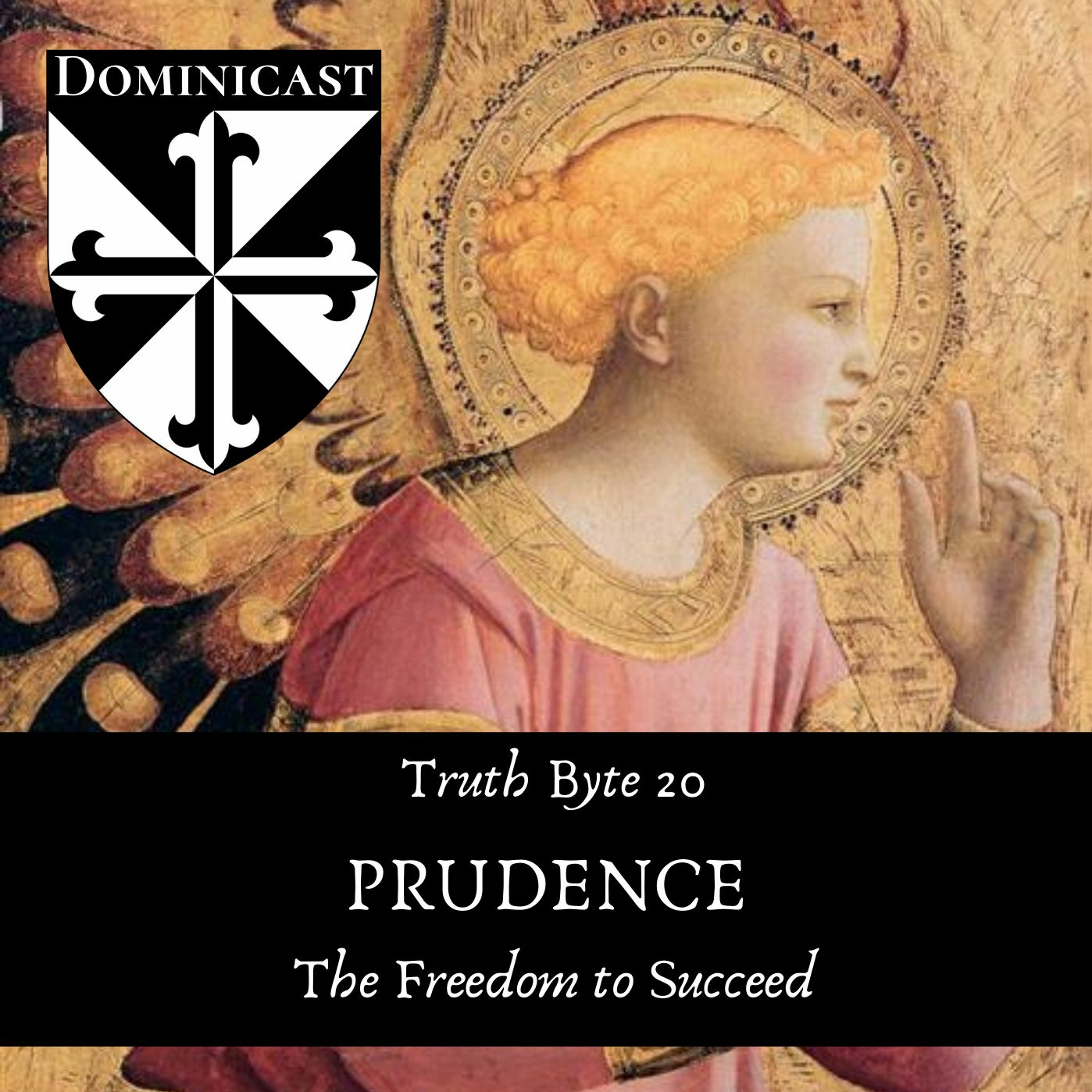 Prudence: Freedom to Succeed - Truth Byte 20