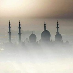 إِنَّ هَذَا كَانَ لَكُمْ جَزَاءً وَكَانَ سَعْيُكُمْ مَشْكُورًا | همام تاج السر
