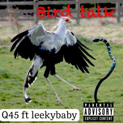 Bird Talk - Q Phlly x LEEKY BABY