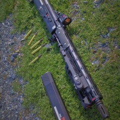 H A L L U C I N A T I O N