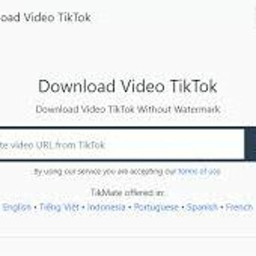 Tiktok Downloader - Download Video tiktok Without Watermark - SnapTik