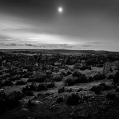 Les Aromatiques Du Larzac