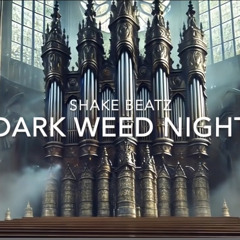 Dark Weed Night - Haunted Gothic Cathedral Piano Beat (Dark Hip-Hop Instrumental)