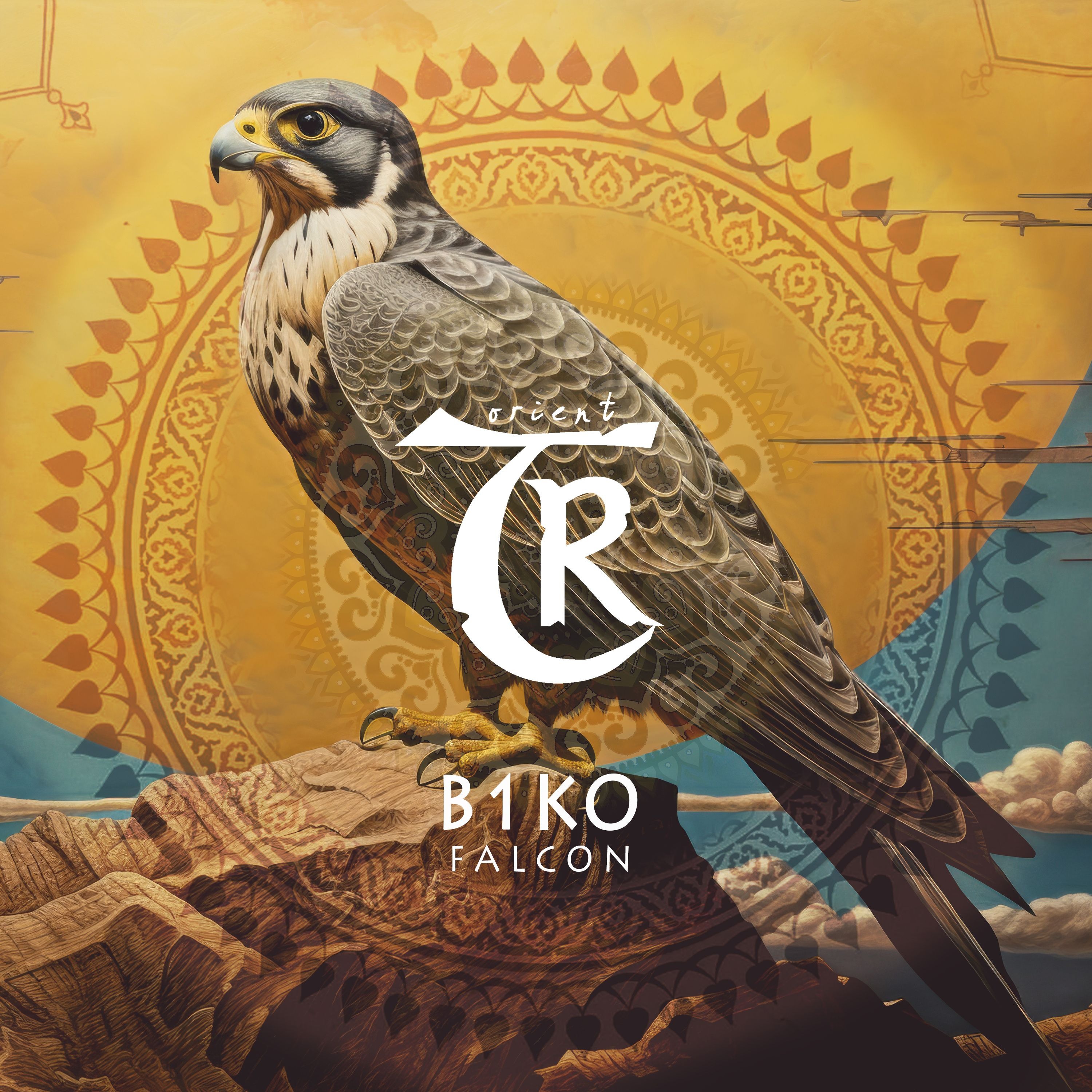 B1ko