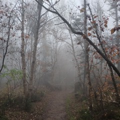 Part 3 :The Skanking Beyonder