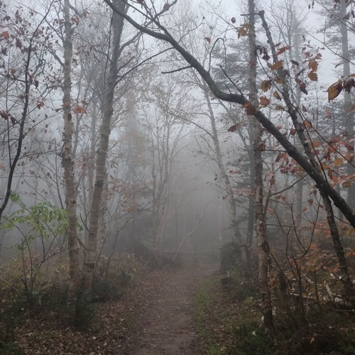 The Beyonder : Full journey