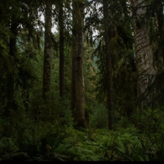 [Séance] PNW Showcase