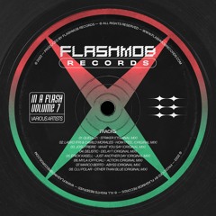 tech house monday mix #18 (Flashmob records gems)