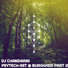 Psytechset 2 - DJ Chandrani