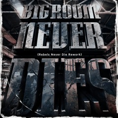 BIGROOM NEVER DIES Vs.Old Town Road Vs.Heads Will Roll (Hardwell Rebels Never Die Rework)