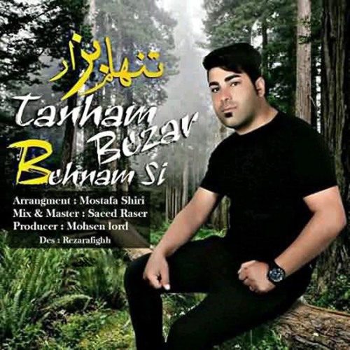 Behnam Si - Tanham Bezar | OFFICIAL TRACK   بهنام اِس آی - تنهام بذار