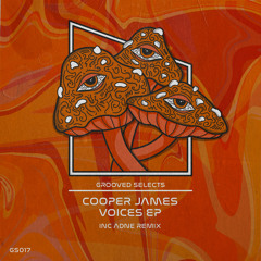 GS017: Cooper James - Voices EP