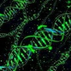 DNA Activation