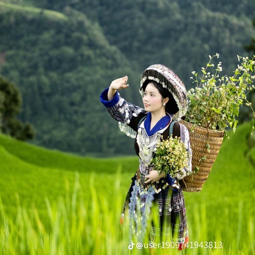 Tơ Duyên - Nson ( Hải Hết Đát Tặng Em )