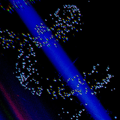 Reciprocity (Demo)