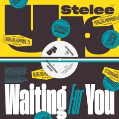 [PN04] Stelee-Up - Waiting For You (Incl. Fabrizio Mammarella Rework & Flemming Dalum Edit)