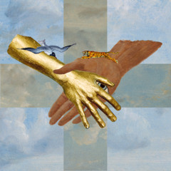 Tiger's Blood. Episode 150. Sacha Mambo