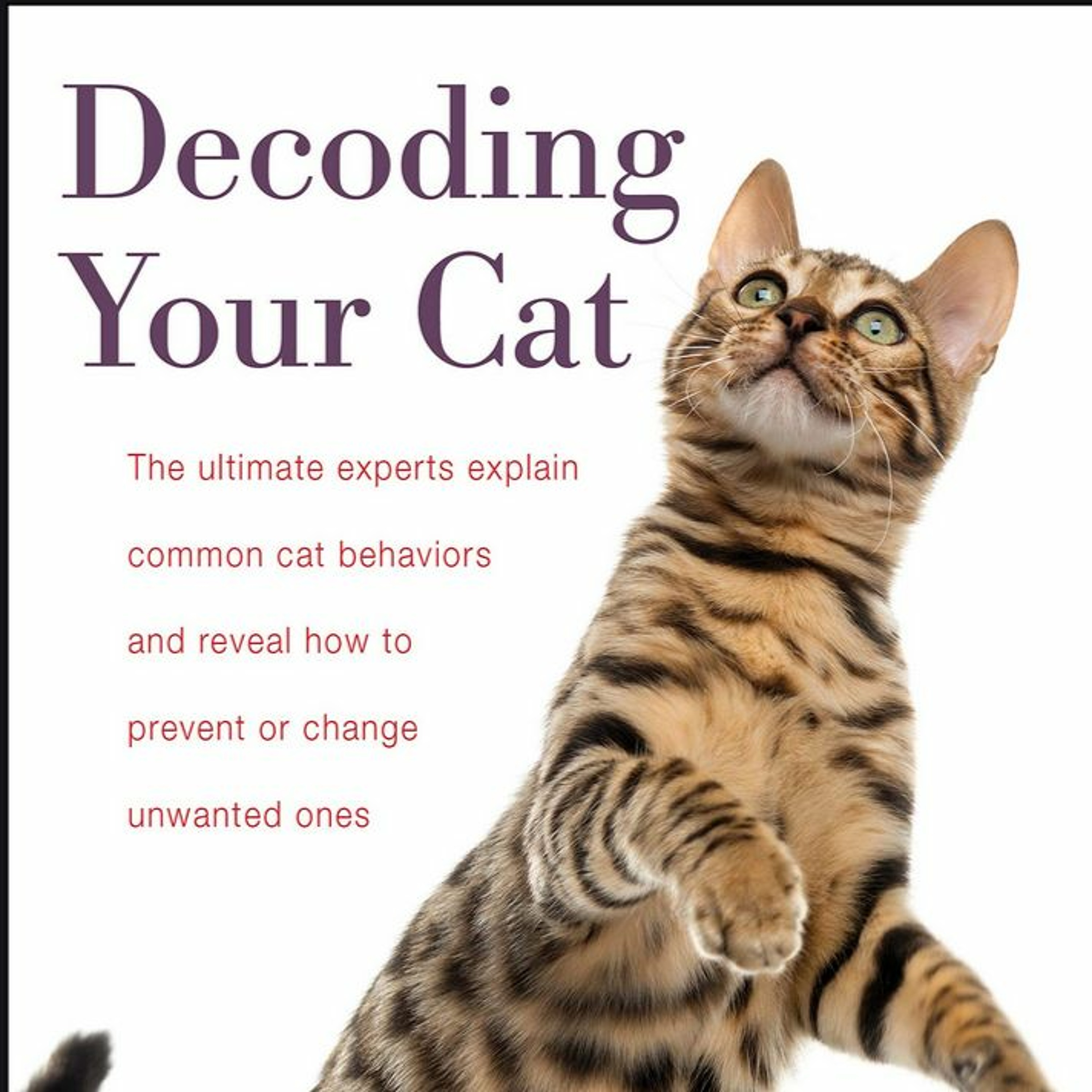 veterinary experts Meghan E. Herron, Debra F. Horwitz and Carlo Siracusa on Decoding Your Cat