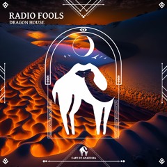 Radio Fools  ( Cafe De Anatolia )