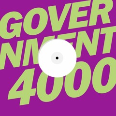 Government 4000 - Role