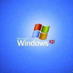 STS349 Assignment 8 Remanence of Windows XP (Random Sample)