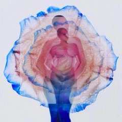 I Wish you Roses (Backseat Remix)
