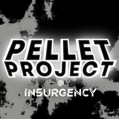 Pellet Project @ Insurgency 2021