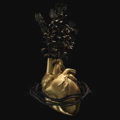 Take This Heart Of Gold
