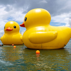 kms (rubber duck) [cuprisvn]