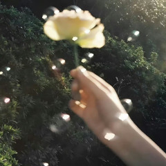바람 cover