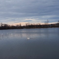 you belong to me (sof cover).m4a