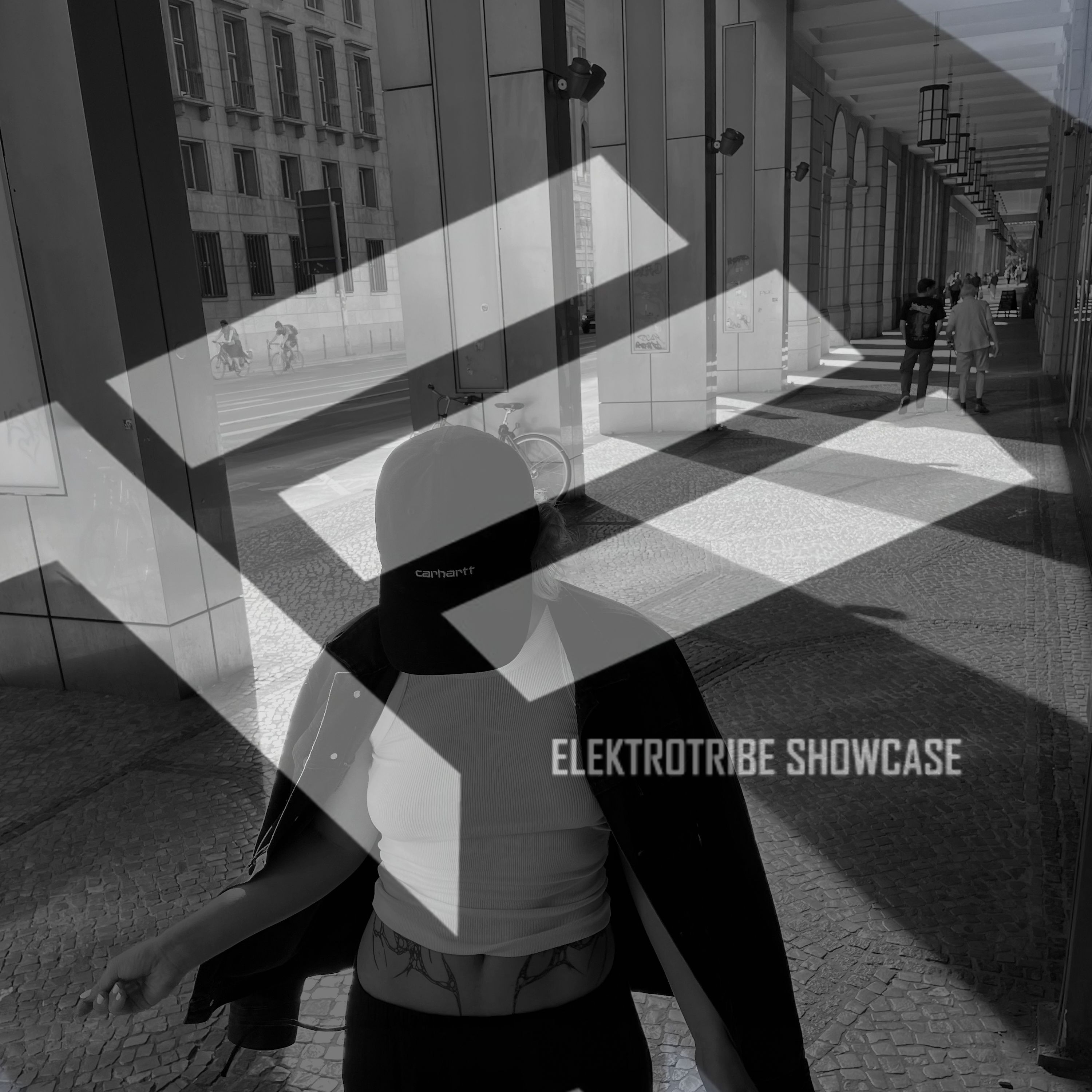 Elektrotribe