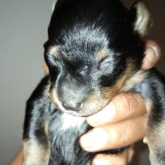 i loved you...why the fuck did you do me cruel