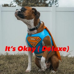 Its Okay (Deluxe) Pr3mo feat. Darah