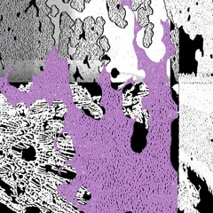 IDA RELEASES