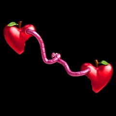 ZINDA - Yepla - Master