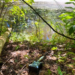Underwater recording (Grotniki - Linda river)