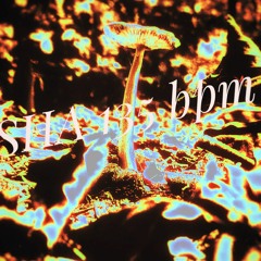 SHØ mix tracks
