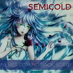 Never Coming Back, Sorry (Original Mix)