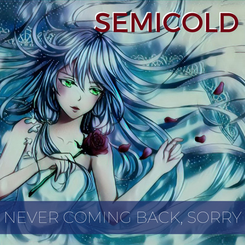 Never Coming Back, Sorry (Original Mix)