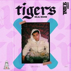 Bilal Wahib Vs. Jocelyn Brown - Somebody Else's Tigers (TNTEES Mashup)