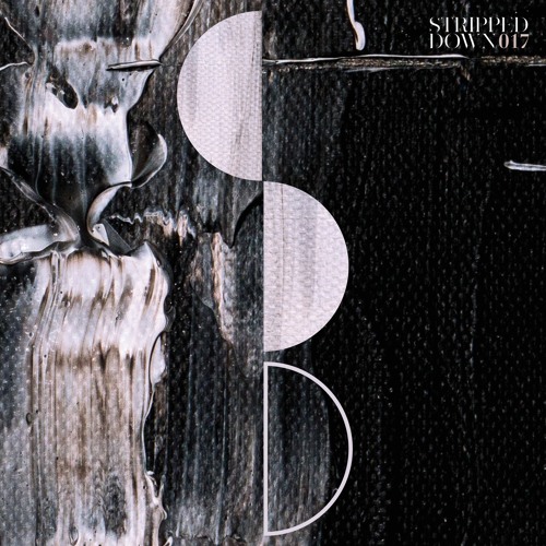 PREMIERE: The Provincials feat. Bozo Vreco - Pandora (Claudio Ricci Remix) [Stripped Down]